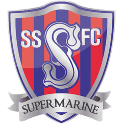 史云顿超级海军队徽